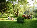DSC03306