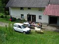 DSC03317