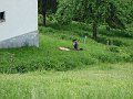 DSC03321