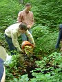 DSC03383